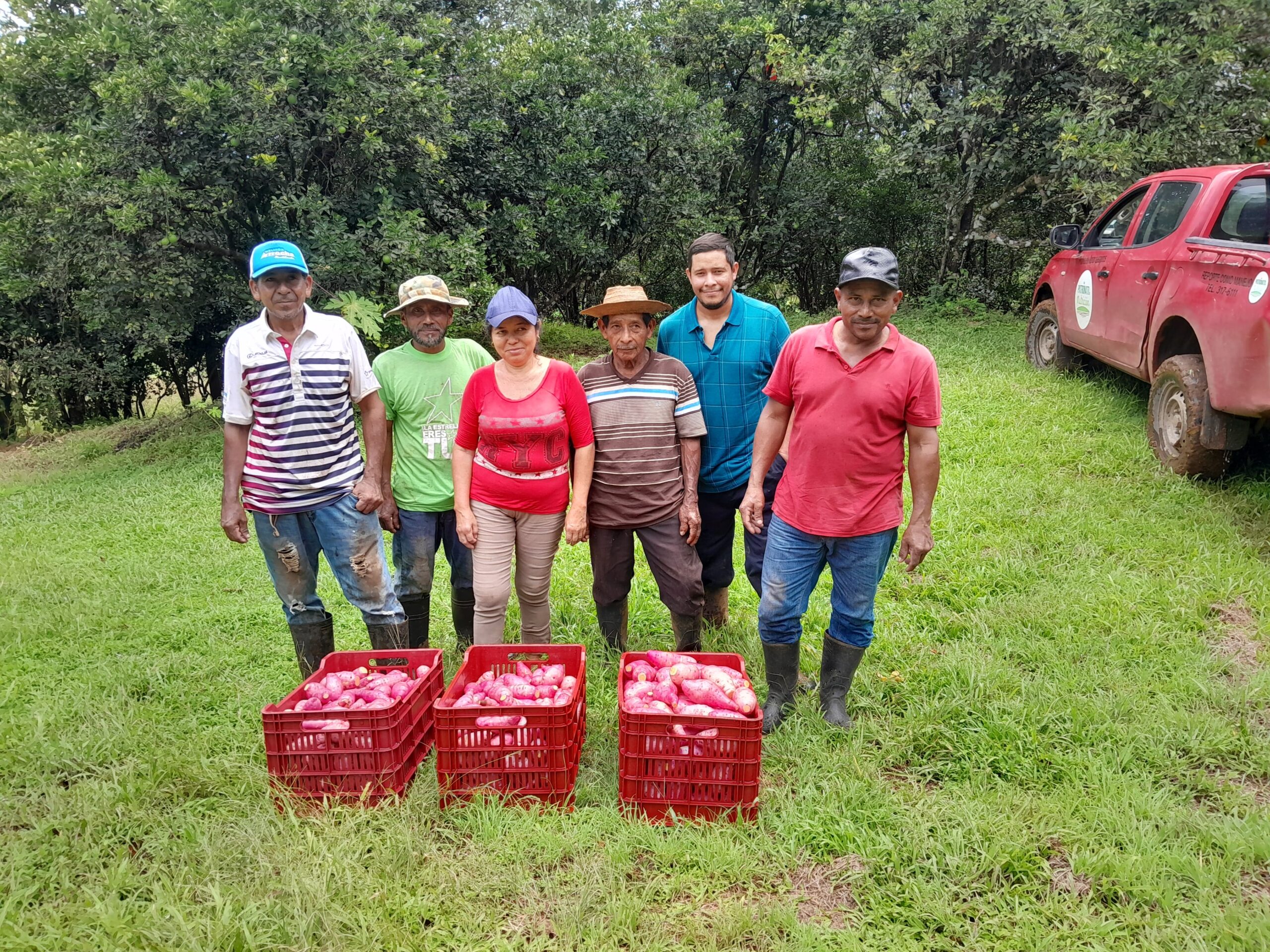 Programa de Producción Sostenible  de Alimentos