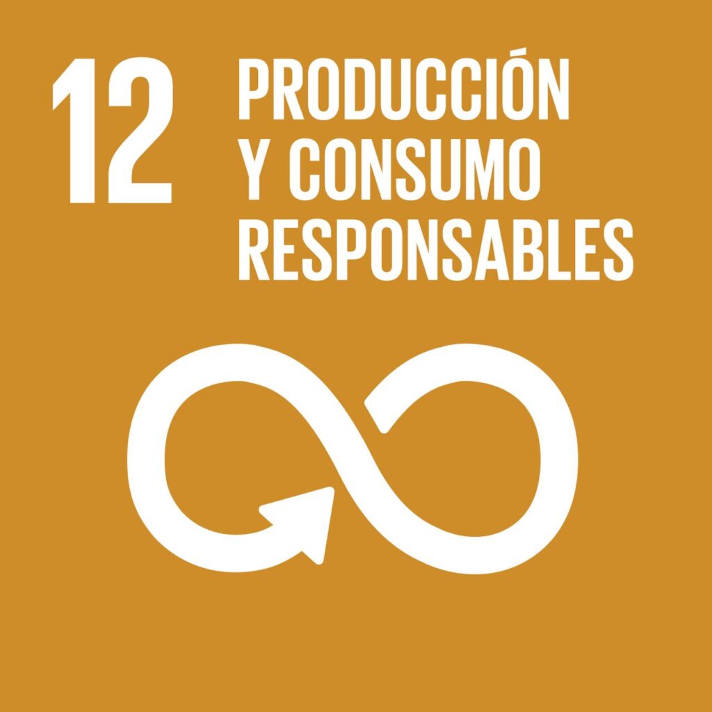 12. Producción y Consumo Responsable